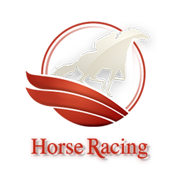 Horse Book